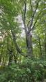 Lot 2 Hideaway Trl - Photo 11