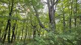 Lot 2 Hideaway Trl - Photo 12