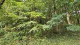 Lot 2 Hideaway Trl - Photo 7