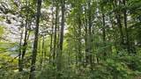 Lot 2 Hideaway Trl - Photo 9