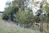 M-22 Sawmill Street - Photo 11
