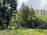 M-22 Sawmill Street - Photo 5