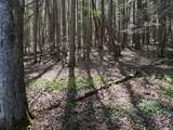 Lot 15 Pocahontas Trail - Photo 2