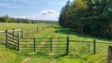 3513 War Ridge Rd - Photo 39