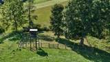 3513 War Ridge Rd - Photo 51
