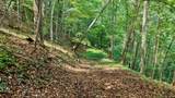 832 Palla Fair Rd - Photo 54