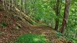 832 Palla Fair Rd - Photo 55