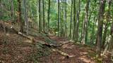832 Palla Fair Rd - Photo 57