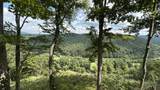 832 Palla Fair Rd - Photo 66