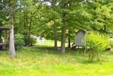 7649 Moncove Lake Rd - Photo 11