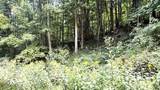  Little Mountain Drive - Photo 1