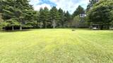 295 Luster Shrader Rd - Photo 4