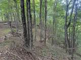  Big Run Road - Photo 10