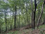  Big Run Road - Photo 8