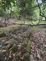 230 Little River Retreat Rd - Photo 10