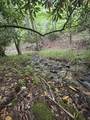230 Little River Retreat Rd - Photo 12