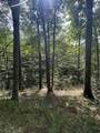 230 Little River Retreat Rd - Photo 14