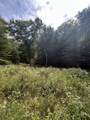 230 Little River Retreat Rd - Photo 3