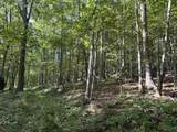 3183 Julia Rd - Photo 38