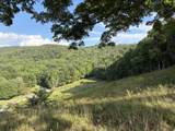 Tract C Keeney Mountain Rd - Photo 11