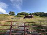 Tract C Keeney Mountain Rd - Photo 2