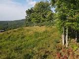 Tract C Keeney Mountain Rd - Photo 35