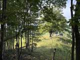 Tract C Keeney Mountain Rd - Photo 39