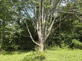 2673 Raines Rd - Photo 28
