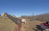 626 Miller Farm Rd - Photo 123
