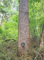  River Rd - Photo 17