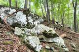  River Rd - Photo 18