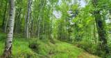  River Rd - Photo 9