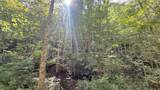  Cedar Branch - Photo 2
