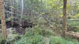  Cedar Branch - Photo 3