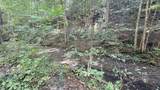  Cedar Branch - Photo 7