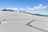 1747 Backus Mountain Rd - Photo 33