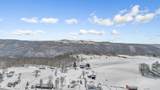 1747 Backus Mountain Rd - Photo 47