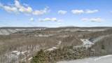 1747 Backus Mountain Rd - Photo 49