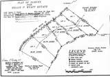 11926 Browns Creek Rd - Photo 11