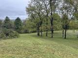 Lot 41/42 Fairway View Dr - Photo 4