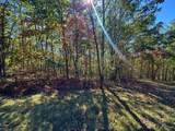 Lot 92 White Rock Trail - Photo 9