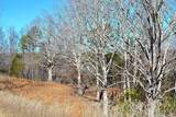 5106 Pine Grove Rd - Photo 35