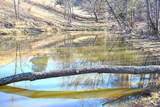 5106 Pine Grove Rd - Photo 46