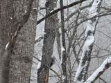 435 Old Long Branch Rd - Photo 3