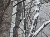 435 Old Long Branch Rd - Photo 5