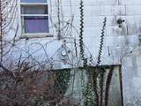 1865 Owens Ave - Photo 6