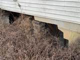 3728 Hood Ave - Photo 8