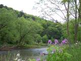  Duncan Road - Photo 2