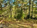 44 Allegheny Ln - Photo 45