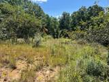  Hamilton Ridge - Photo 31